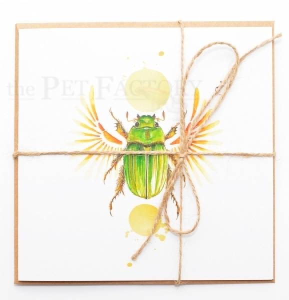 Square Card Chrysina